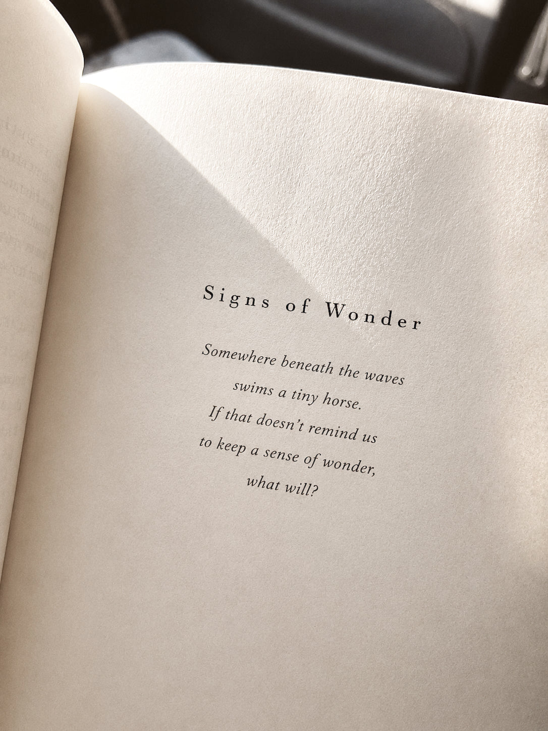 Signs of Wonder - necklace silver 925